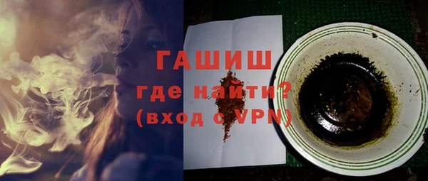 гашик Алексин