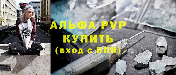гашик Алексин