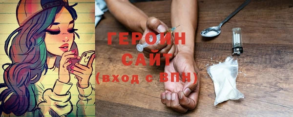 гашик Алексин