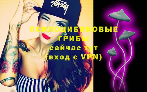 гашик Алексин