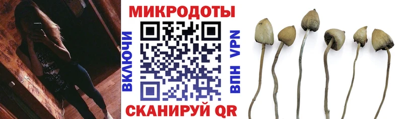 Псилоцибиновые грибы Psilocybe  Тейково 