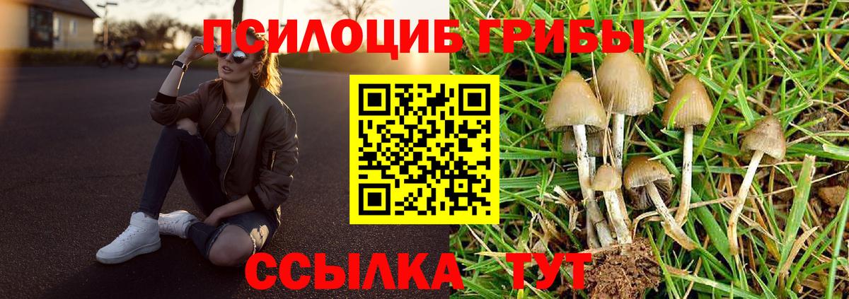 Галлюциногенные грибы ЛСД  Вход с VPN  Тейково 