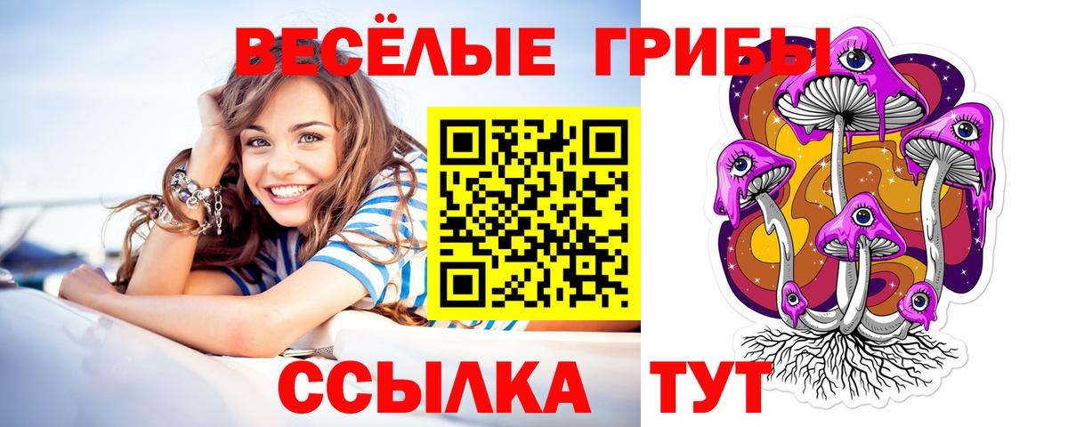 Галлюциногенные грибы прущие грибы Тейково